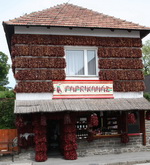 Balaton im Winter bei unserem Ferienhaus in Ungarn