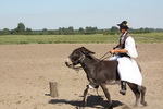 Eselreiten Puszta
