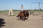 ungarische Puszta